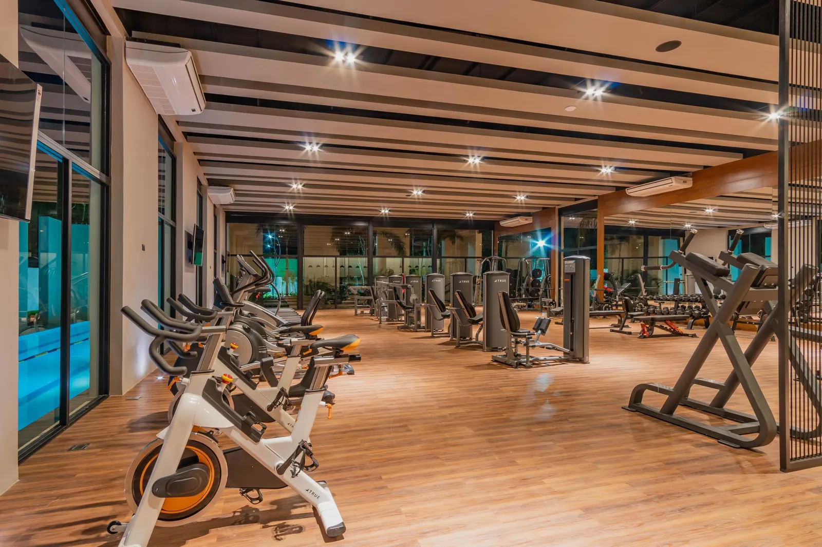 Gimnasio